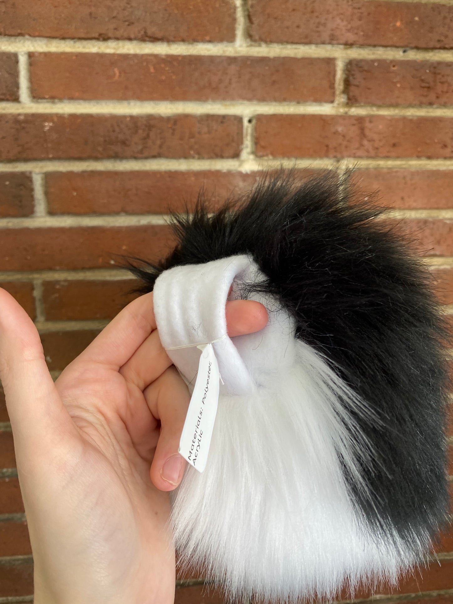 Black and White Nub Tail