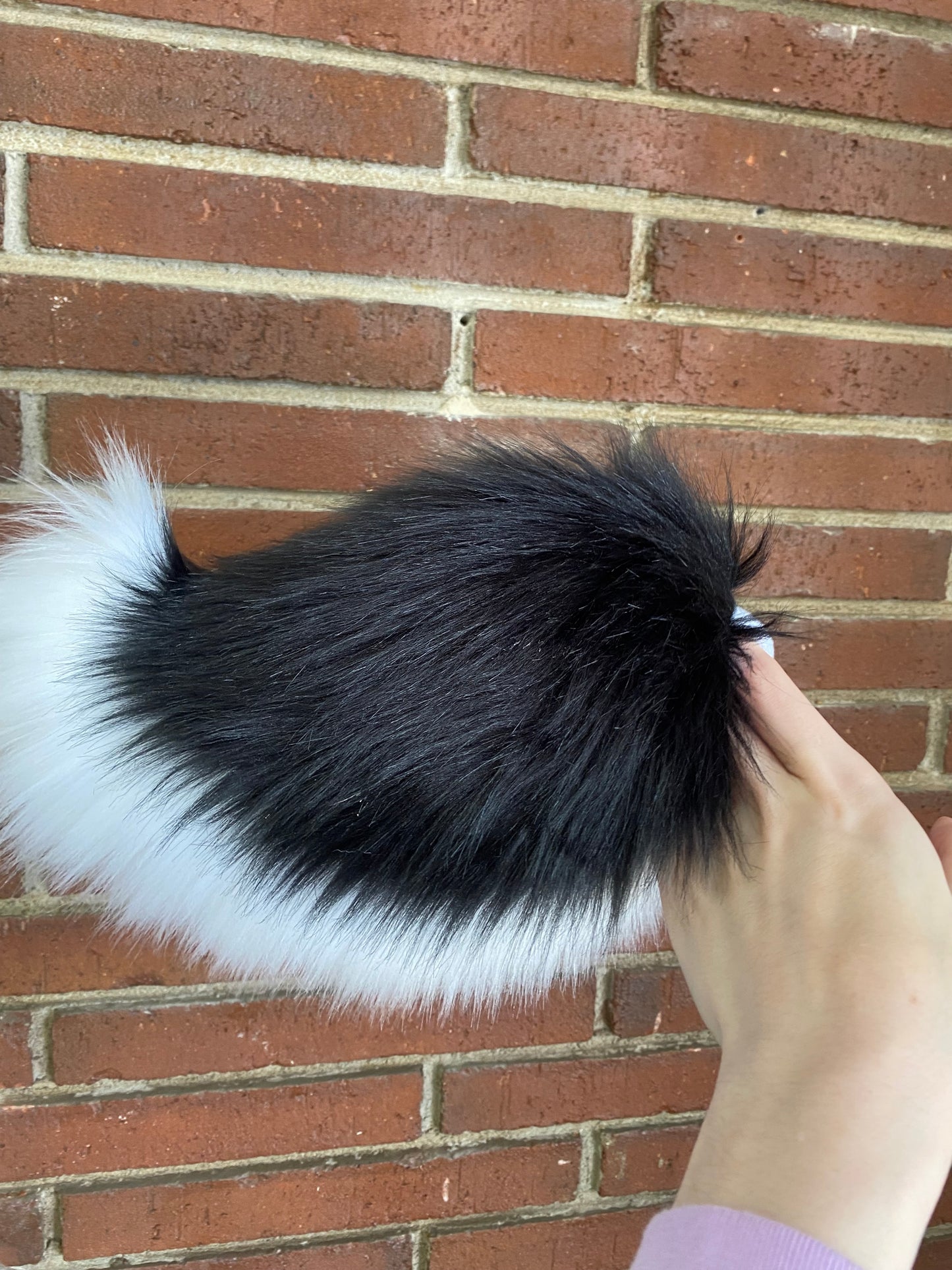 Black and White Nub Tail