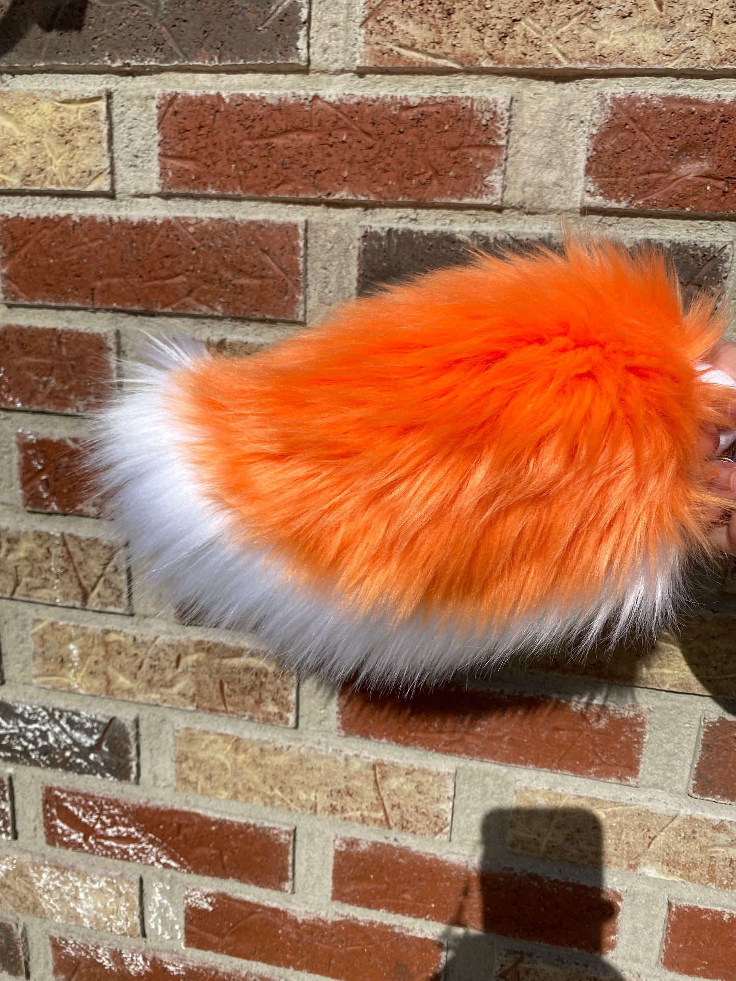 Orange and White Nub Tail