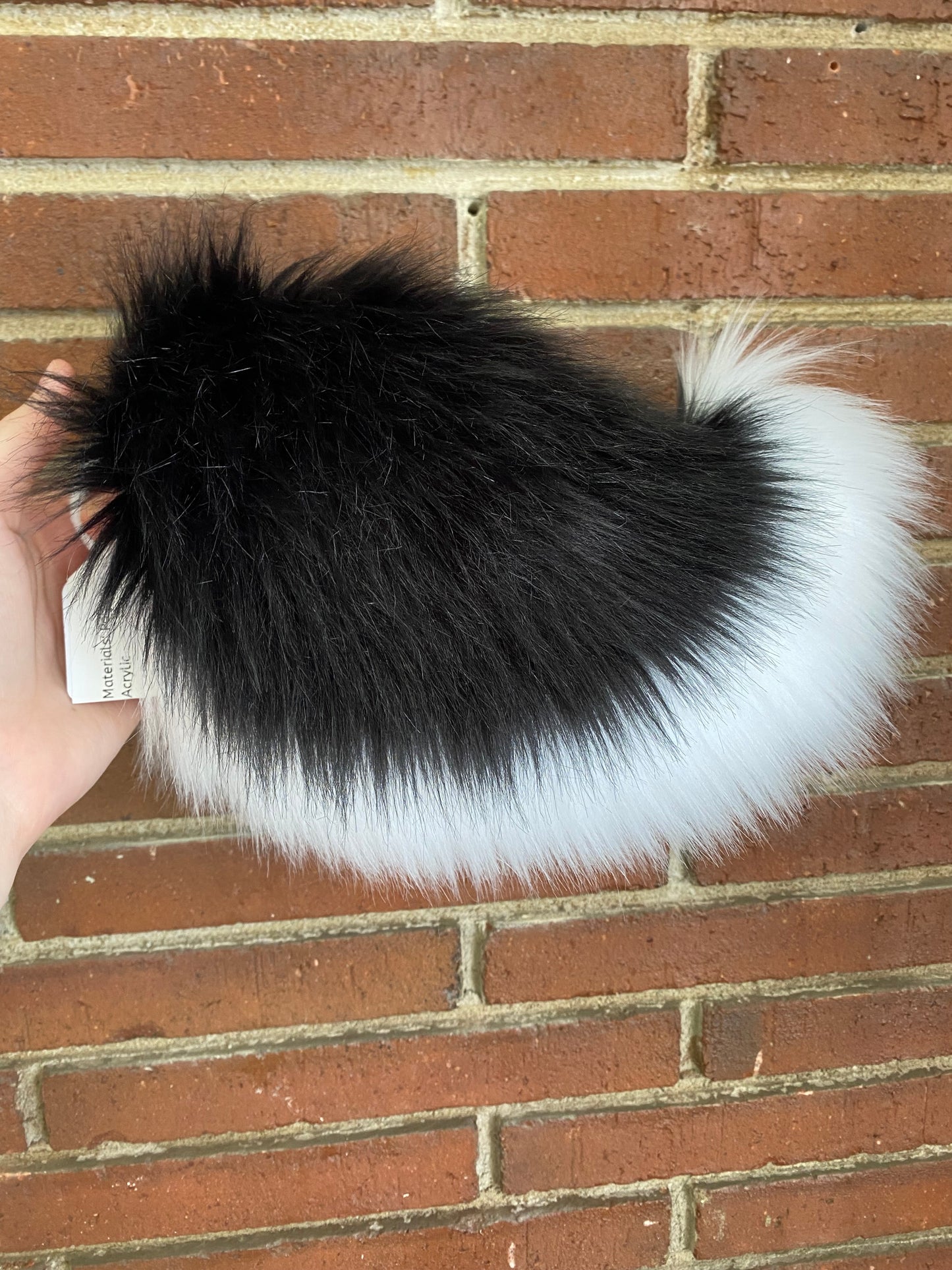 Black and White Nub Tail